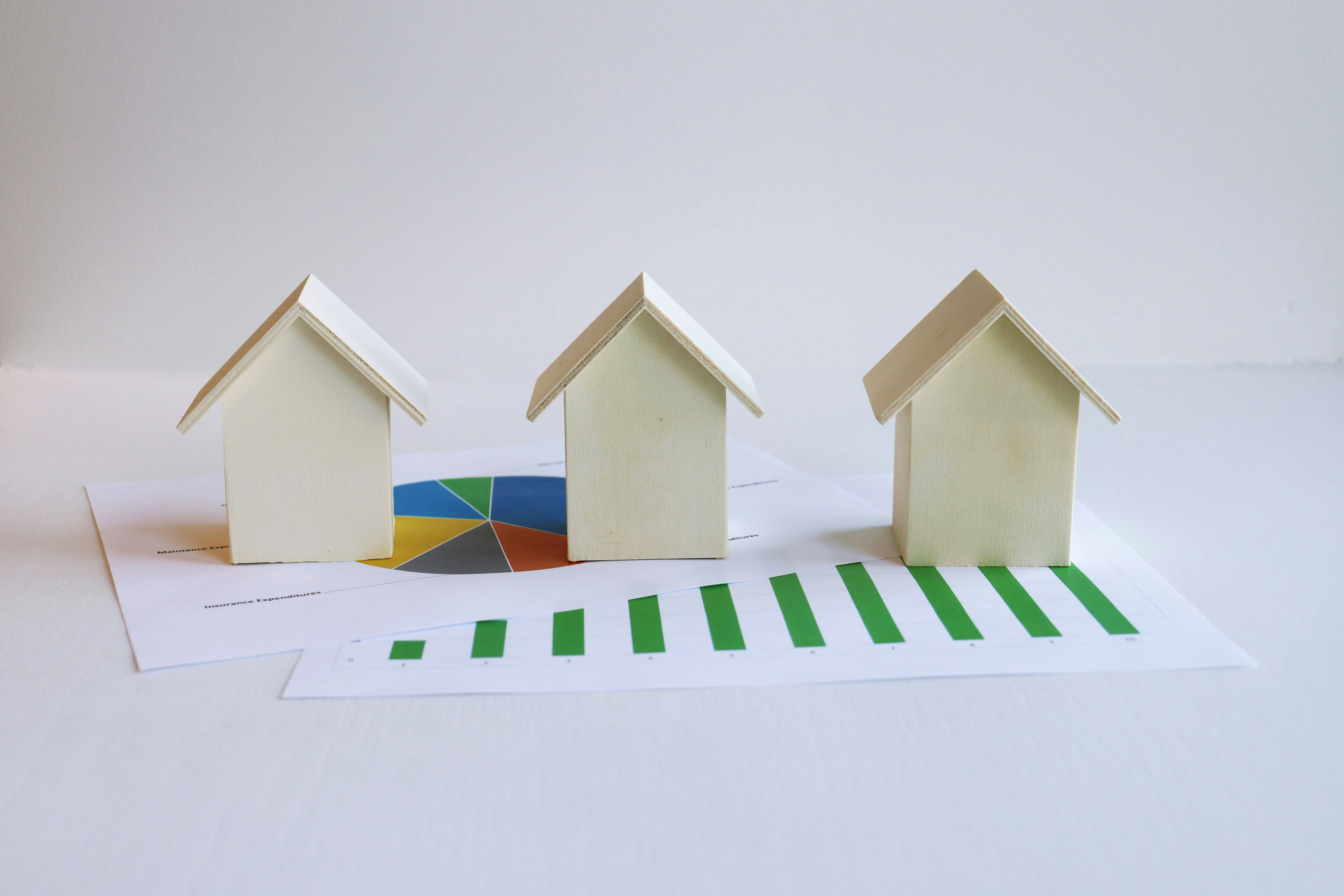  The Portfolio